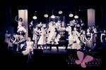 Born to Hand Jive